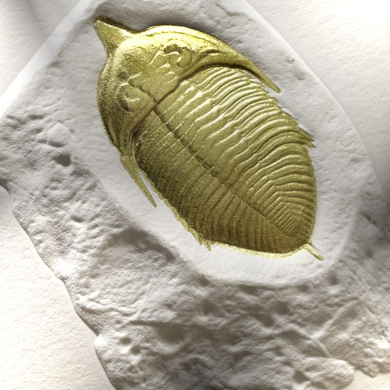 HAE0103 - Image 2