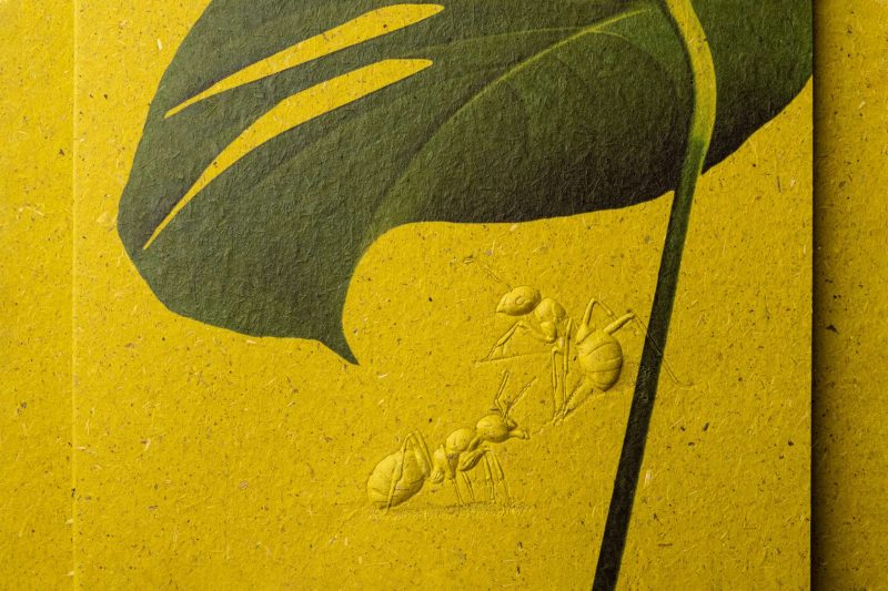 ant-01-1 萬用卡 Greeting Cards - Image 3