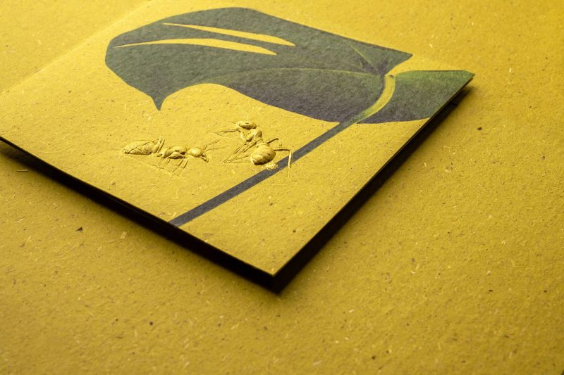 ant-01-1 萬用卡 Greeting Cards - Image 4