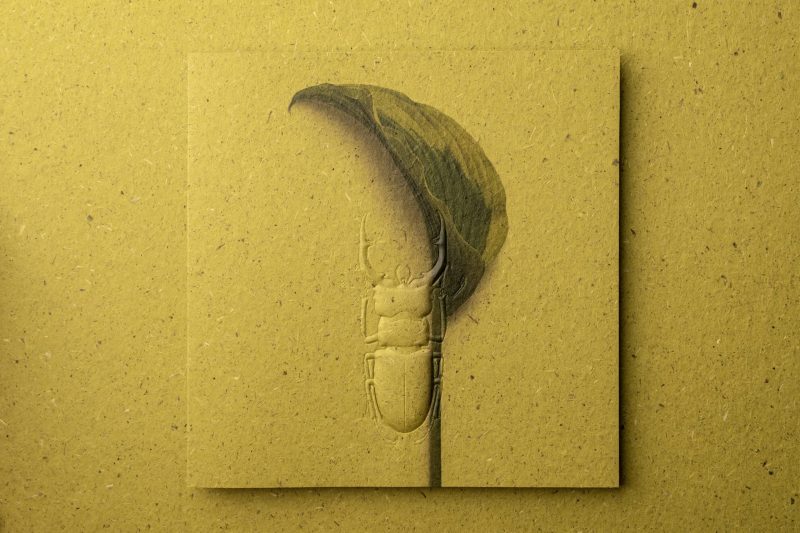 ins-01-1 萬用卡 Greeting Cards