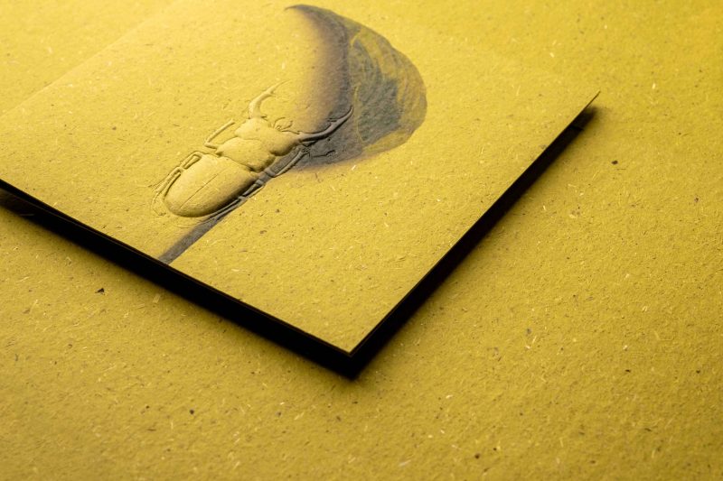 ins-01-1 萬用卡 Greeting Cards - Image 3