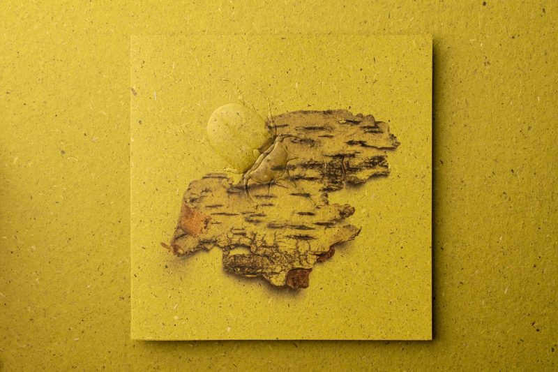 stb-01-1 萬用卡 Greeting Cards